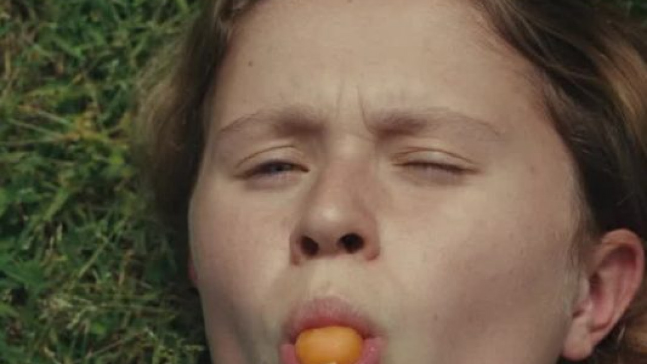 فيلم The Starling Girl 2023 مترجم