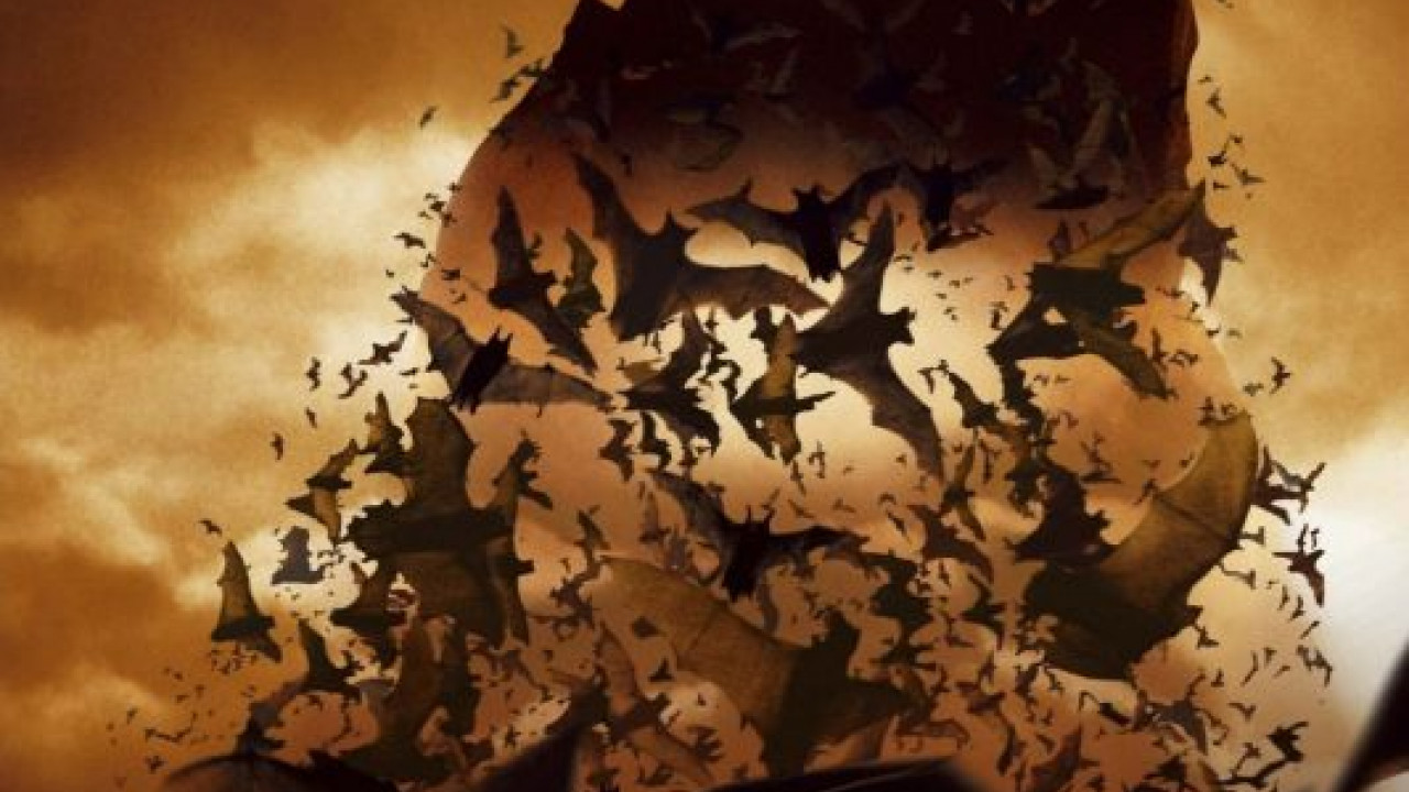 Batman Begins ( 2005 )