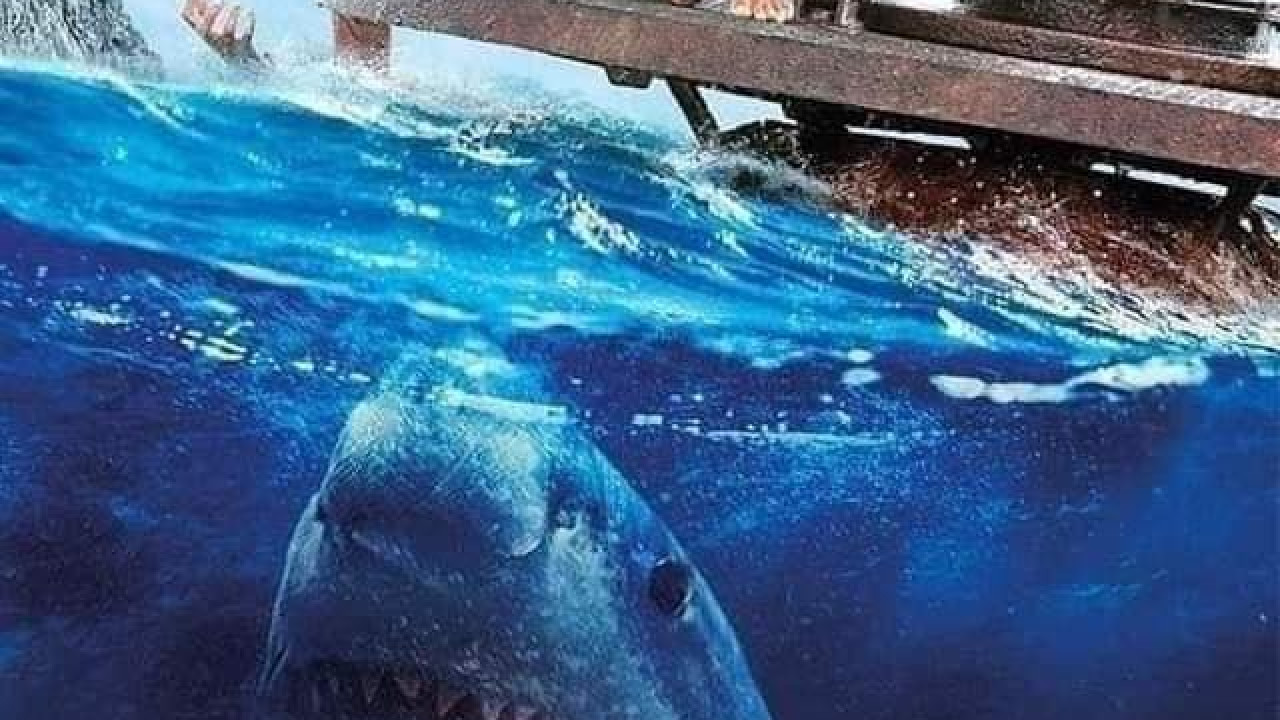 فيلم The Shallows 2016 مترجم