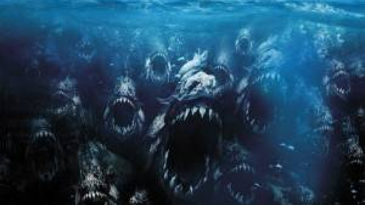 Piranha 3D ( 2010 )