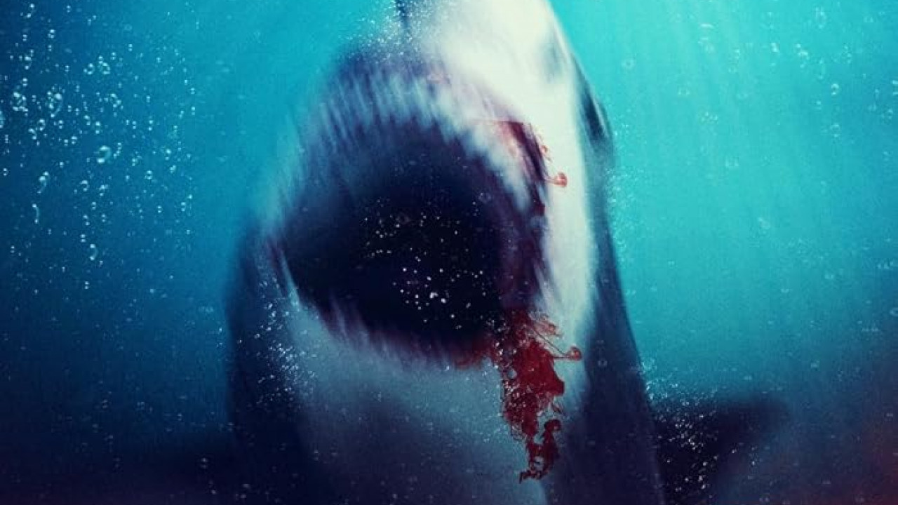 فيلم Bull Shark 2 2024 مترجم