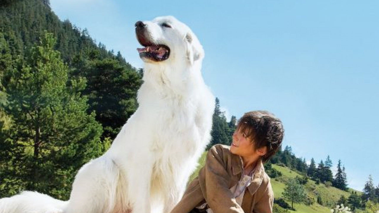 فيلم Belle and Sebastian: The Adventure Continues 2015 مترجم