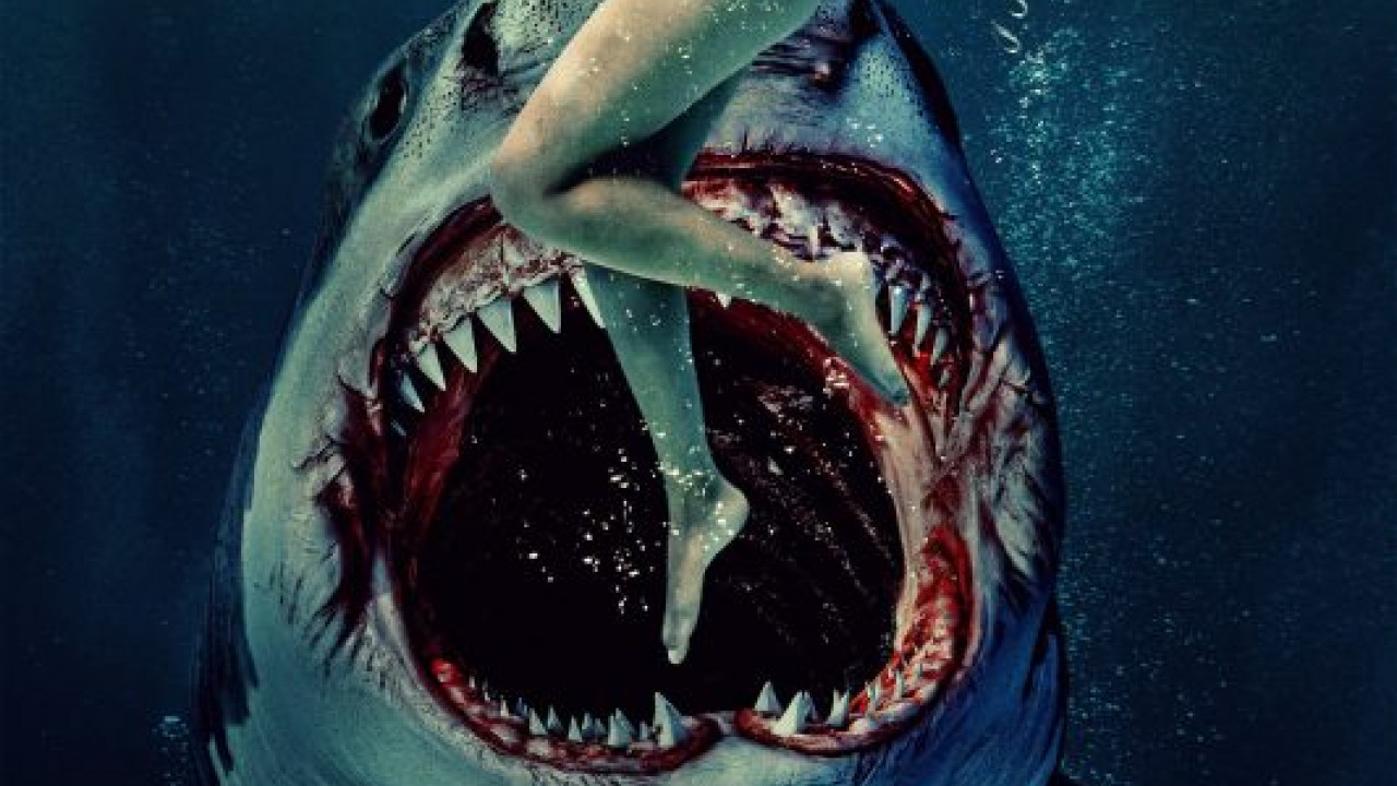 فيلم Something in the Water 2024 مترجم