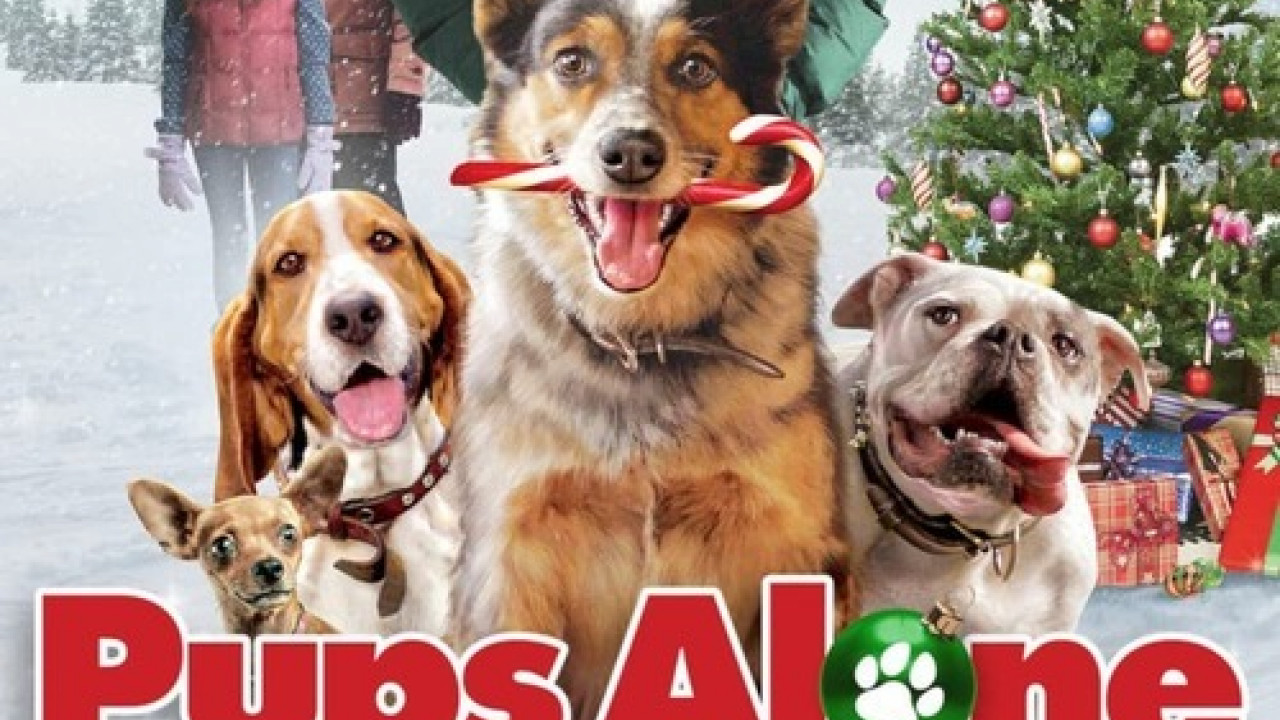 Pups Alone ( 2021 )