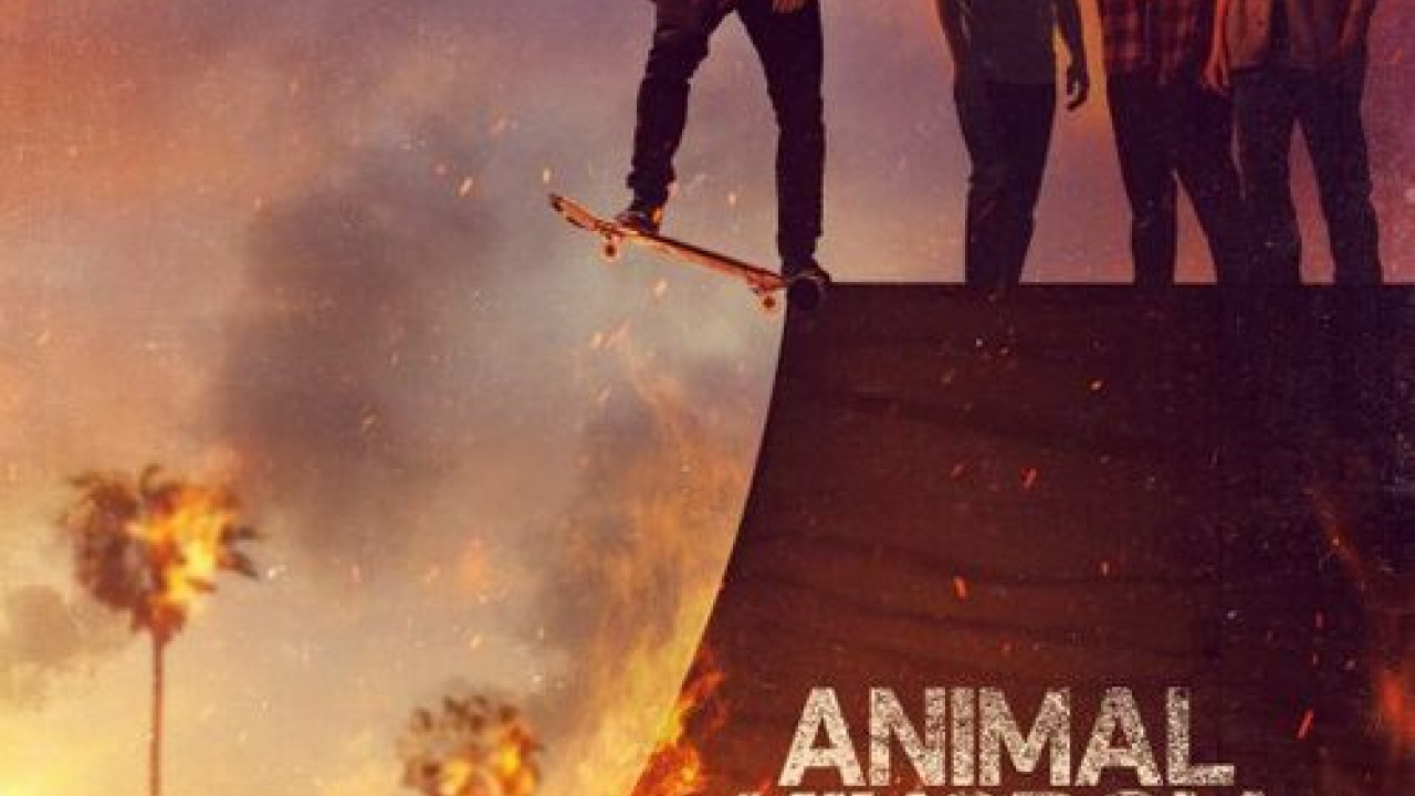 Animal Kingdom الموسم السادس الحلقة 13