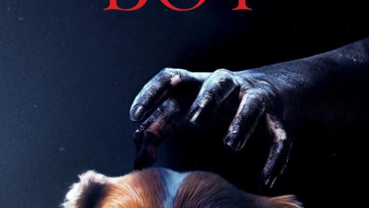 فيلم Good Boy 2025 مترجم