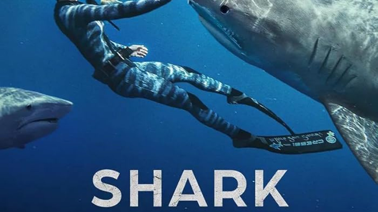 فيلم Shark Whisperer 2025 مترجم