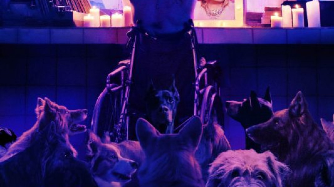 فيلم DogMan 2023 مترجم