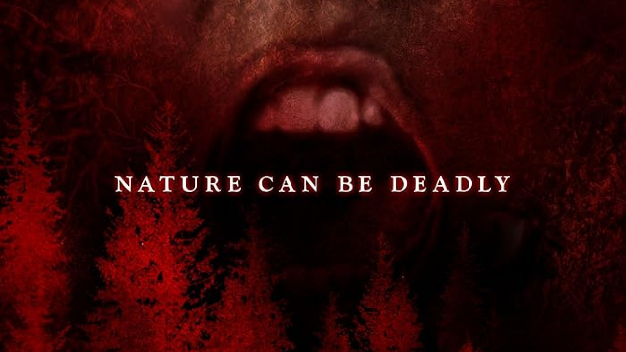فيلم The Woods 2024 مترجم