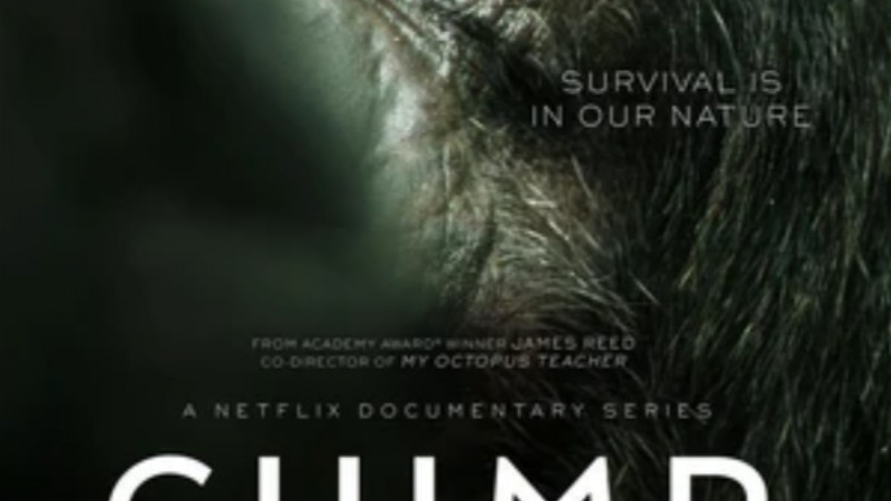 Chimp Empire الموسم الاول الحلقة 1
